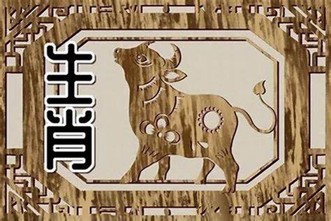 1997年属|1997年属什么属相 1997年属什么生肖